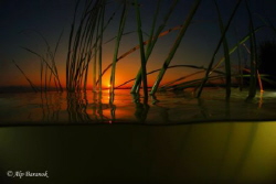 Over/Underwater sunset from Uluabat Lake Gölyazı/Bursa/Tu... by Alp Baranok 